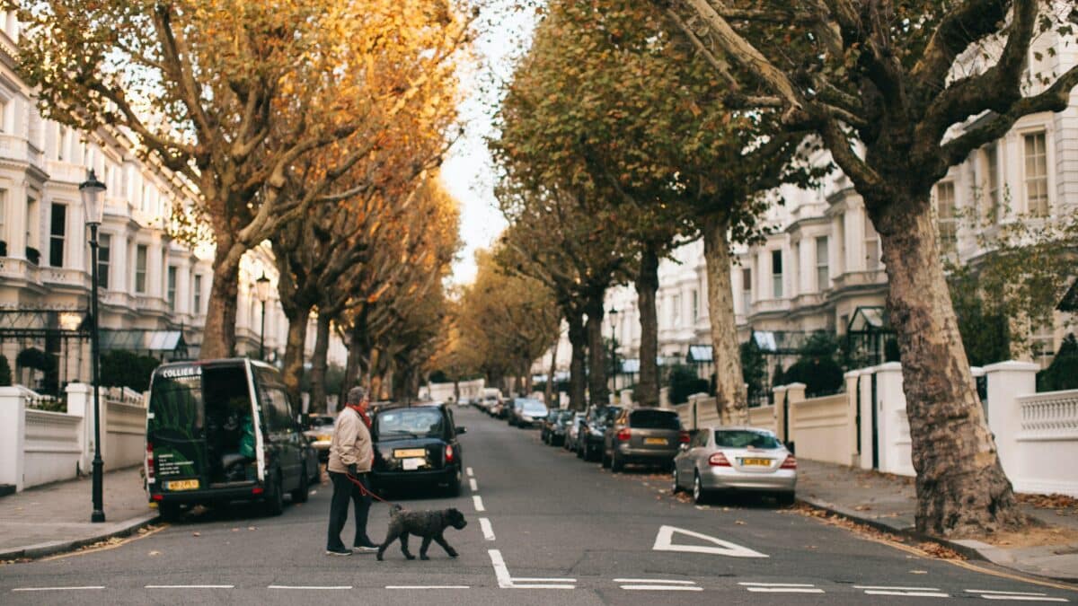 a person walking a dog on across a city street