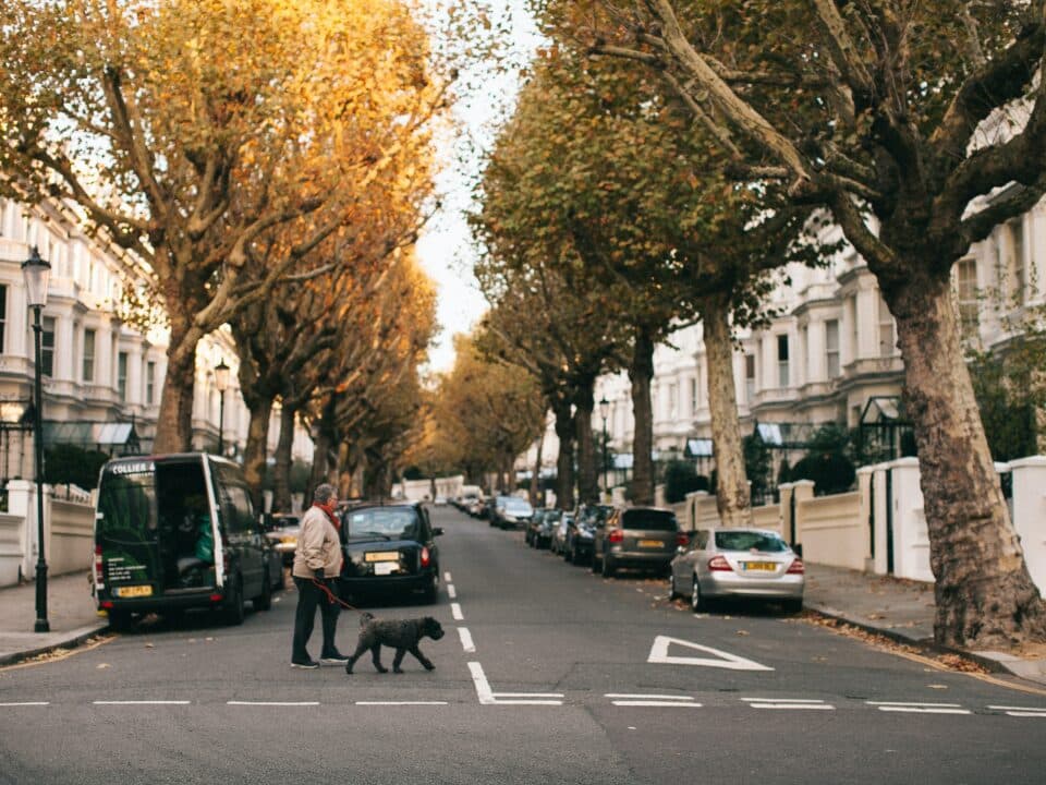 a person walking a dog on across a city street