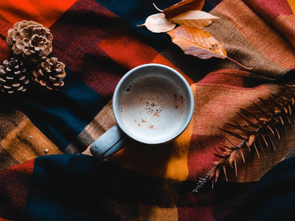 warm drink in a mug on a plaid tablecloth with leaves and pinecones around it